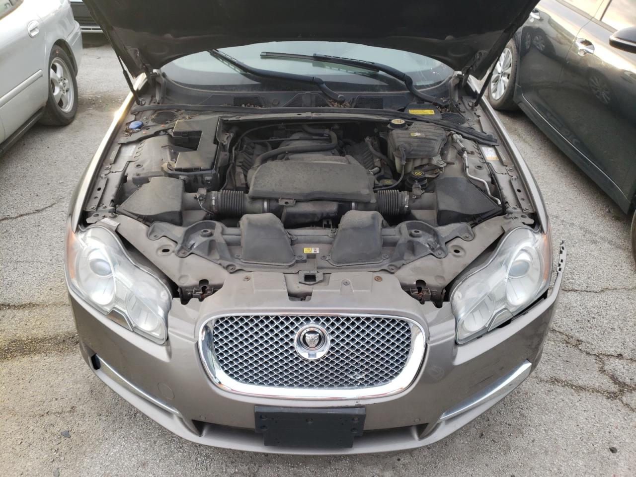 SAJWA0GB3BLR95326 2011 Jaguar Xf Premium