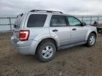 Lot #2214690897 2009 FORD ESCAPE XLT