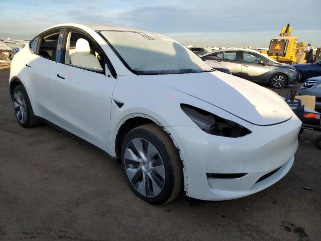 7SAYGDEEXPF666128 | 2023 TESLA MODEL Y