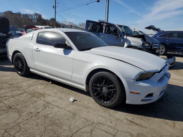 1ZVBP8AM0E5282751 | 2014 FORD MUSTANG