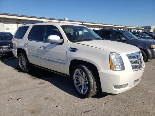 2011 Cadillac Escalade Platinum VIN: 1GYS4DEF5BR363095 Lot: 74170693