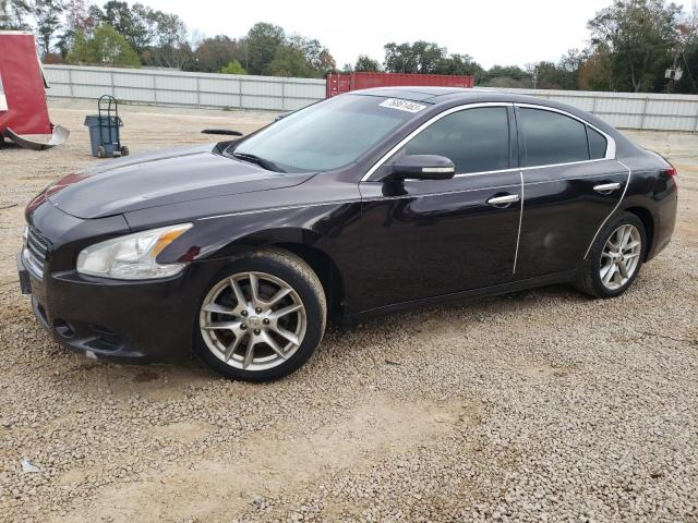 2010 Nissan Maxima S