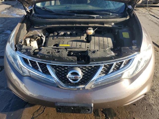 2013 Nissan Murano S VIN: JN8AZ1MU1DW203144 Lot: 75011643