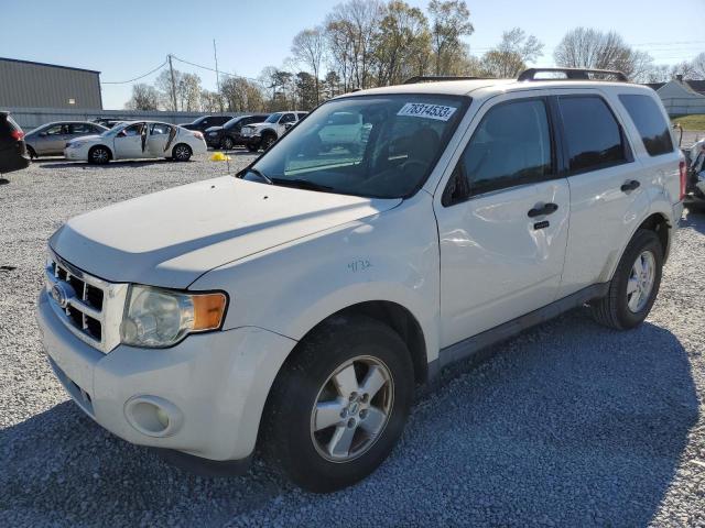 2010 Ford Escape XLT