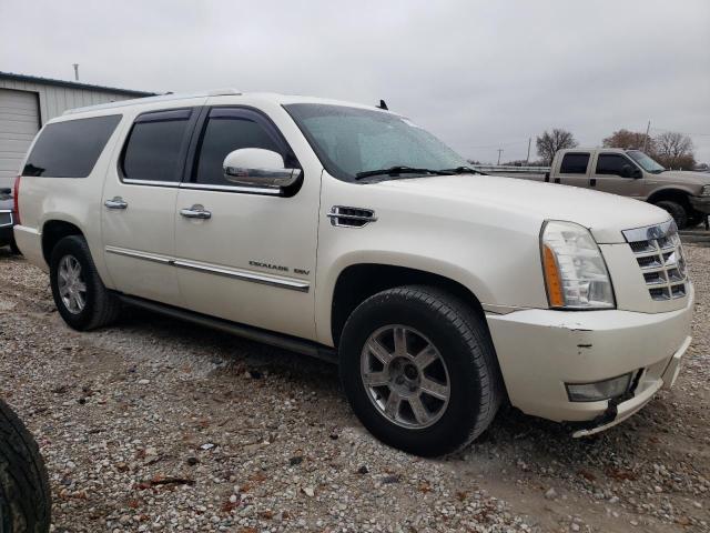 2010 CADILLAC ESCALADE ESV PREMIUM Photos | MO - SPRINGFIELD ...