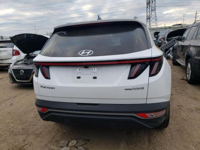 2023 HYUNDAI TUCSON - KM8JFCA11PU104989