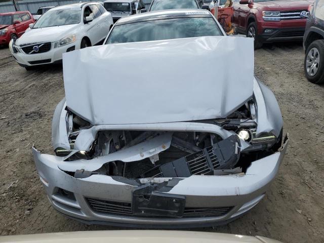 1ZVBP8AM6E5318801 | 2014 FORD MUSTANG