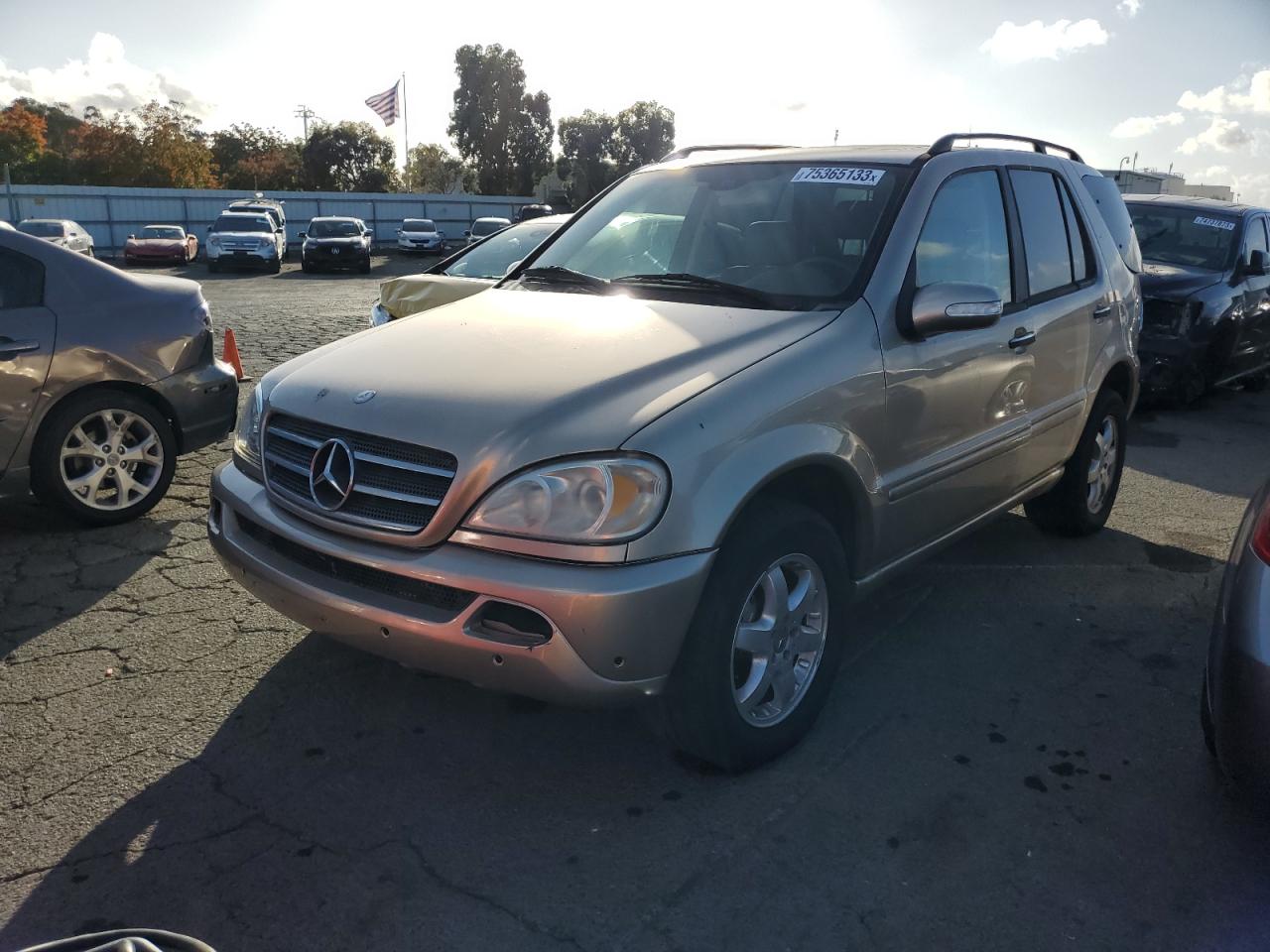 Mercedes ml 500 2004