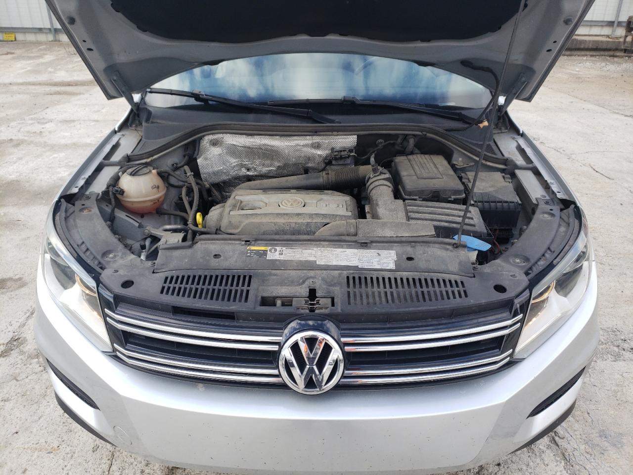 WVGBV7AXXGW533037 2016 Volkswagen Tiguan S