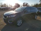 2017 KIA SORENTO LX - 5XYPG4A31HG202863