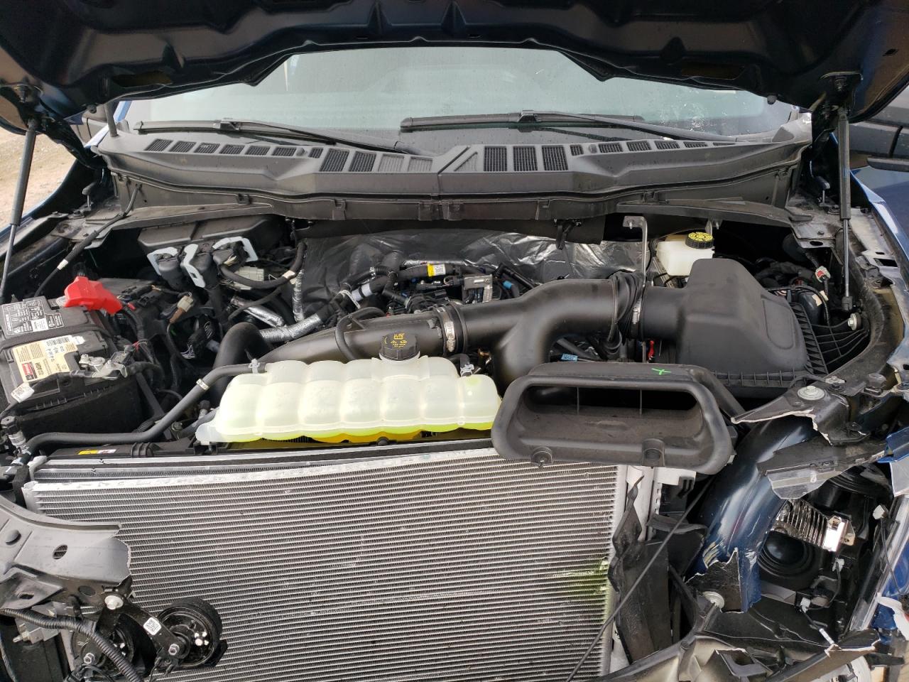 VIN: 1FTEW1CP5PKF01631 2023 FORD F-150