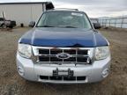 Lot #2214690897 2009 FORD ESCAPE XLT