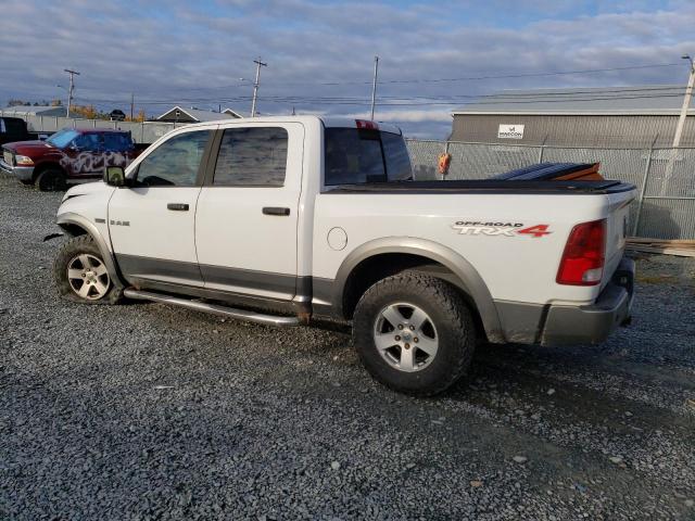 Vin: 1d7rv1ctxas169605, lot: 76145953, dodge all models 20102