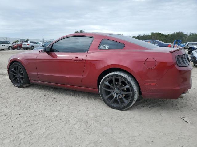 1ZVBP8AM8E5246810 | 2014 FORD MUSTANG