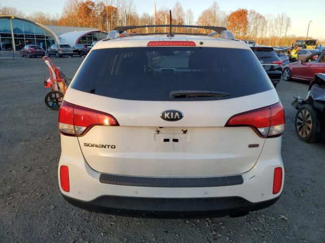 2014 Kia Sorento Lx VIN: 5XYKT4A66EG463496 Lot: 76939473