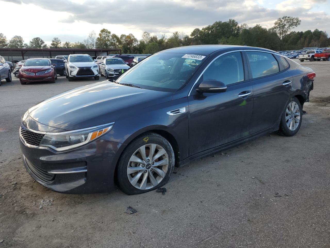 5XXGT4L3XHG141137 KIA OPTIMA 2017