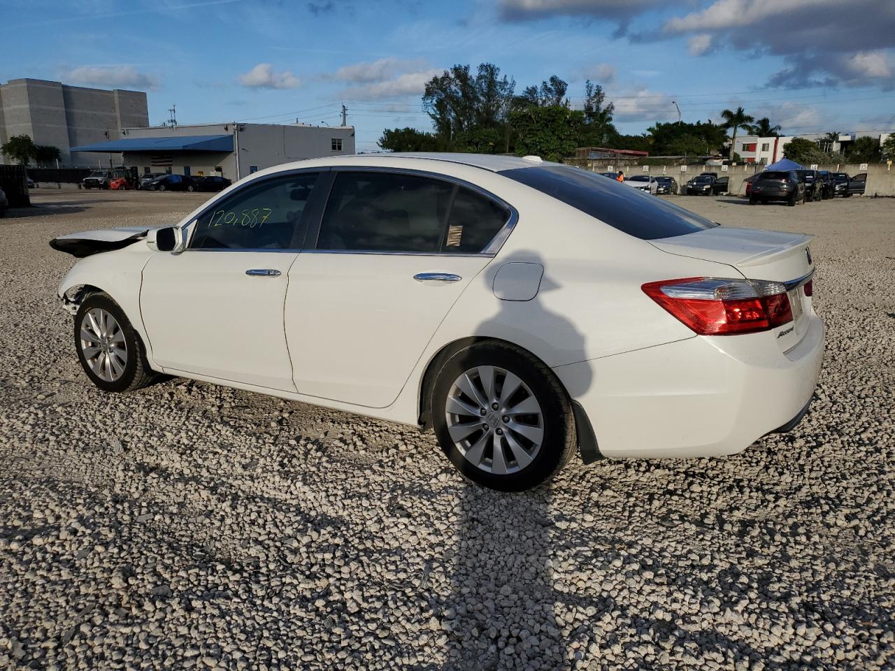 Lot #2212553481 2014 HONDA ACCORD EXL