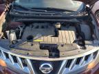 Lot #3023977221 2009 NISSAN MURANO S