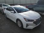 HYUNDAI ELANTRA SE photo