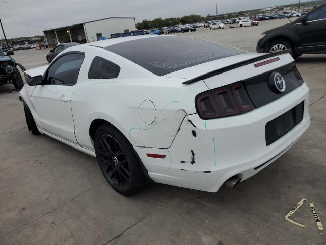 1ZVBP8AMXE5321040 | 2014 Ford mustang