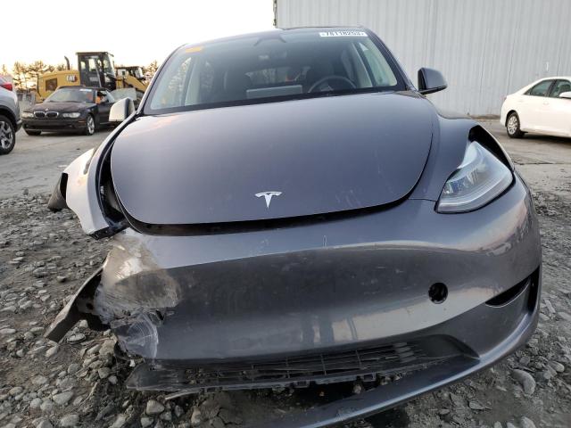 7SAYGDEE5PF832426 | 2023 TESLA MODEL Y