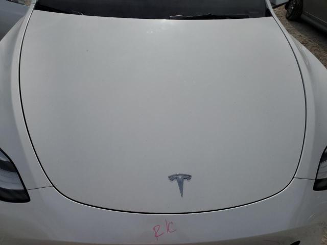 5YJYGDEE6MF245239 | 2021 TESLA MODEL Y