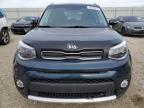 KIA SOUL + photo