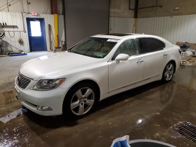 Lot #2501389183 2008 LEXUS LS 460L salvage car