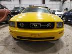 Lot #2919297584 2006 FORD MUSTANG