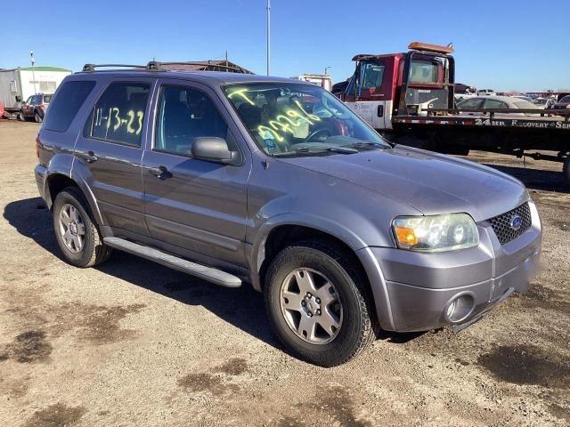 2007 Ford Escape XLT