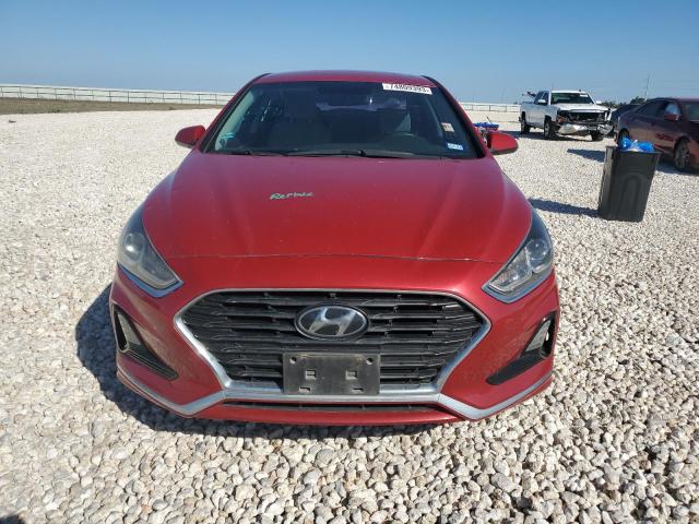 5NPE24AF0KH795812 | 2019 HYUNDAI SONATA SE