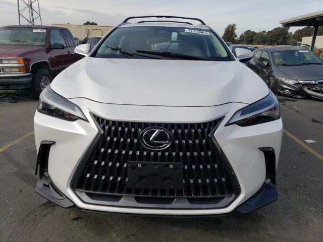 2024 LEXUS NX 250 BAS 2T2ADCEZ7RC004367