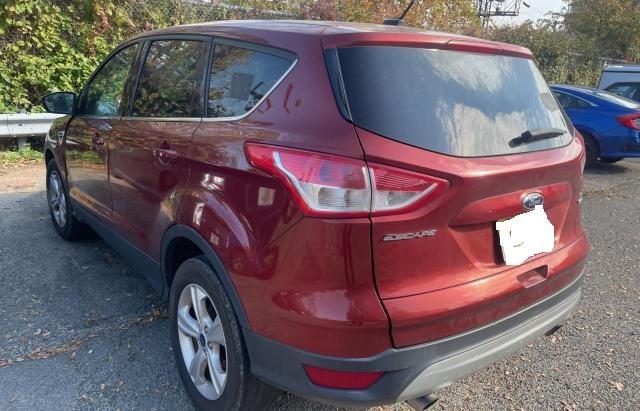 1FMCU9GX8FUB04189 Ford ESCAPE SE