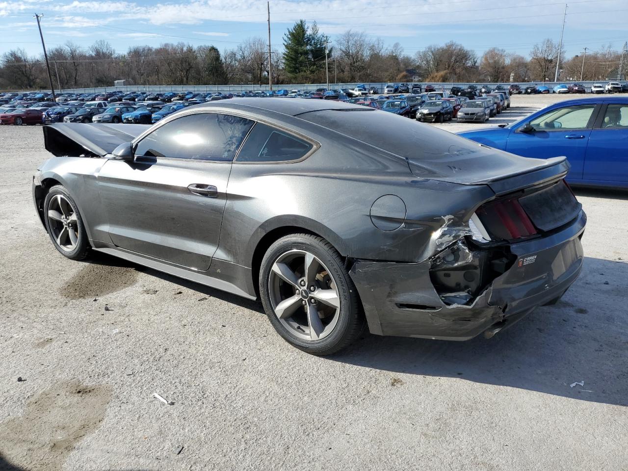 Lot #2549725937 2016 FORD MUSTANG