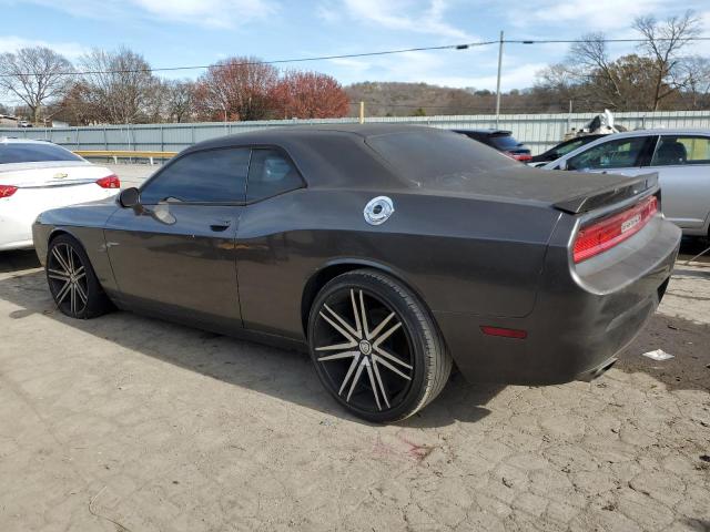 2C3CDYBT2DH615937 | 2013 Dodge challenger r/t