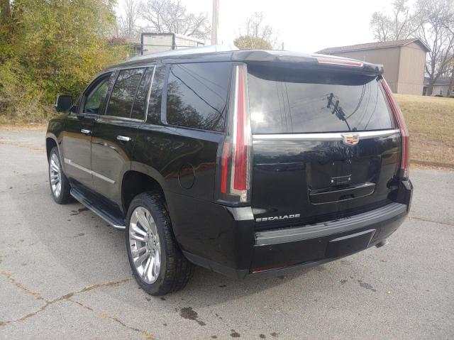 1GYS3CKJ8KR257794 Cadillac Escalade P 3