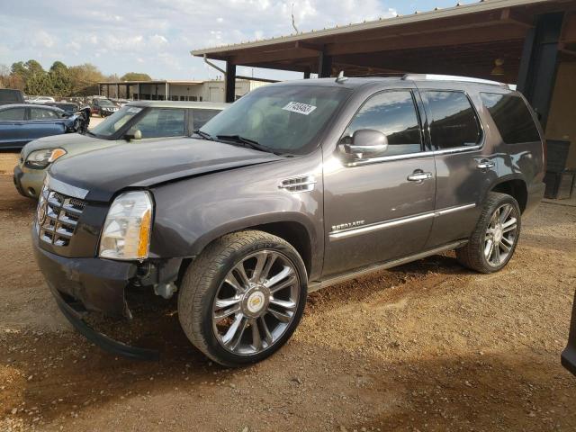 2010 Cadillac Escalade Premium