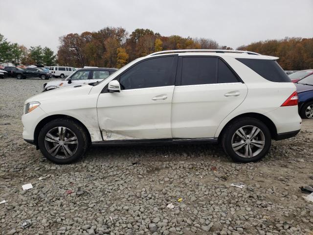 VIN 4JGDA5HB7DA199237 2013 Mercedes-Benz ML-Class, ... no.1