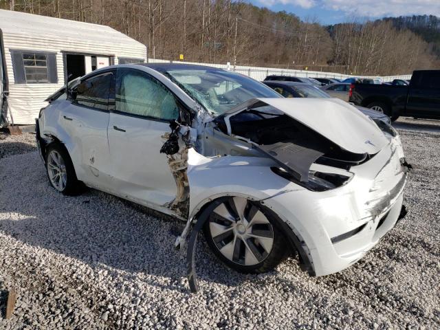 5YJYGDEEXMF131065 | 2021 TESLA MODEL Y