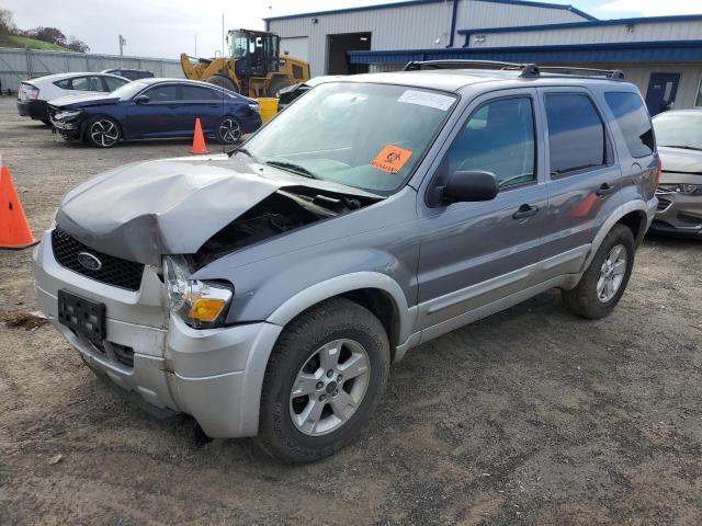 2007 Ford Escape XLT