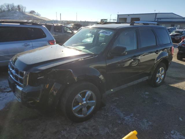 2009 Ford Escape Limited