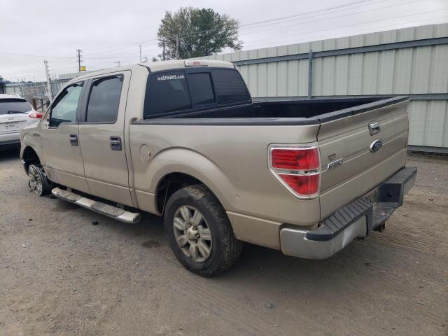 1FTEW1C80AFA56935 | 2010 Ford f150 supercrew