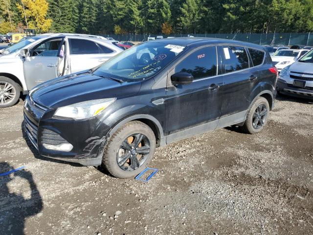 Lot #2195994537 2014 FORD ESCAPE SE salvage car