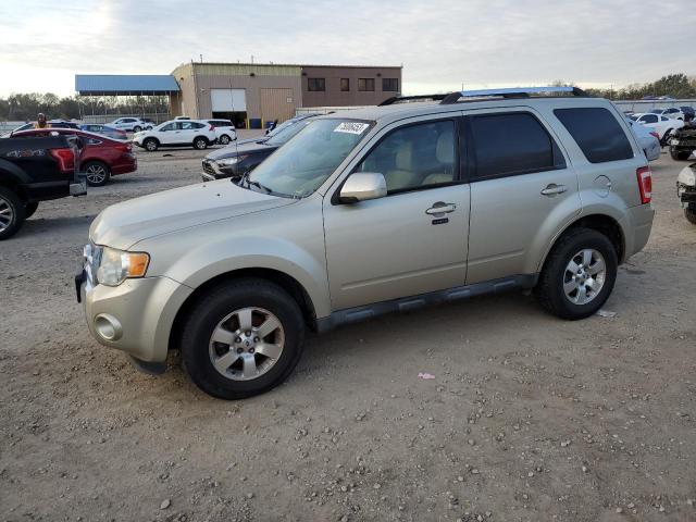 2010 Ford Escape Limited