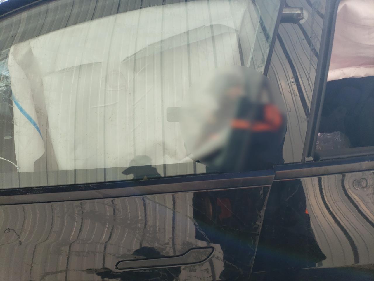 2023 Tesla Model Y vin: 7SAYGDEE0PA059636