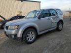 MAZDA TRIBUTE I photo