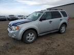 Lot #2214690897 2009 FORD ESCAPE XLT