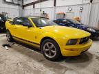 Lot #2919297584 2006 FORD MUSTANG