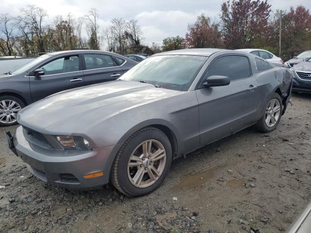 2010 Ford Mustang 