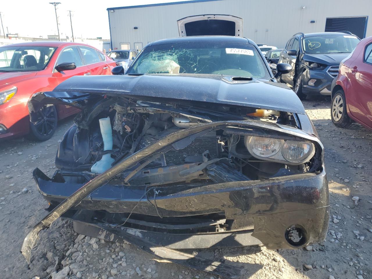 Lot #2206900802 2009 DODGE CHALLENGER